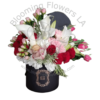 Flower Box 8 - Blooming Flowers