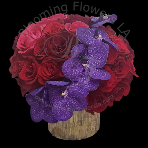 Flower Box 17 - Blooming Flowers
