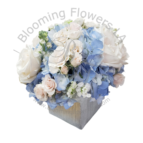 Flower Box 26 - Blooming Flowers