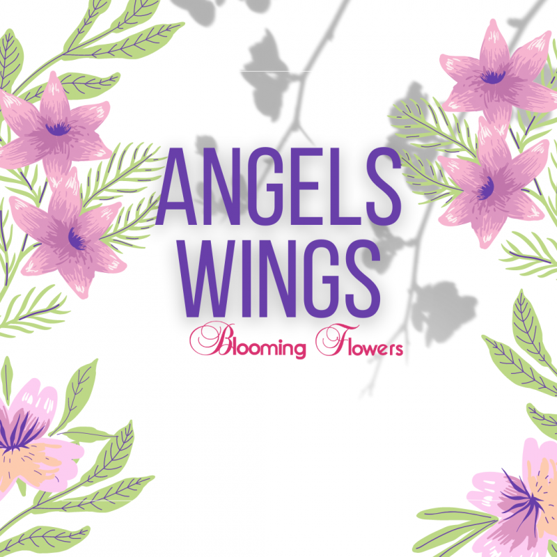 Angels Wings - Blooming Flowers