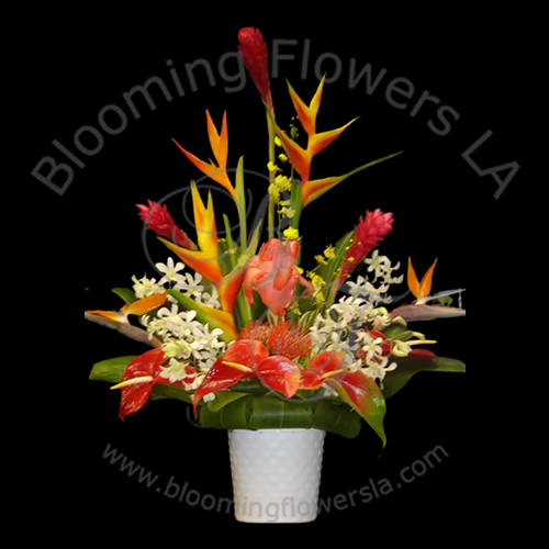 Anniversary 4 - Blooming Flowers