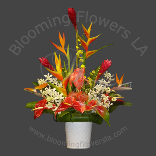 Anniversary 4 - Blooming Flowers