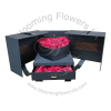 Flower Box 7 - Blooming Flowers
