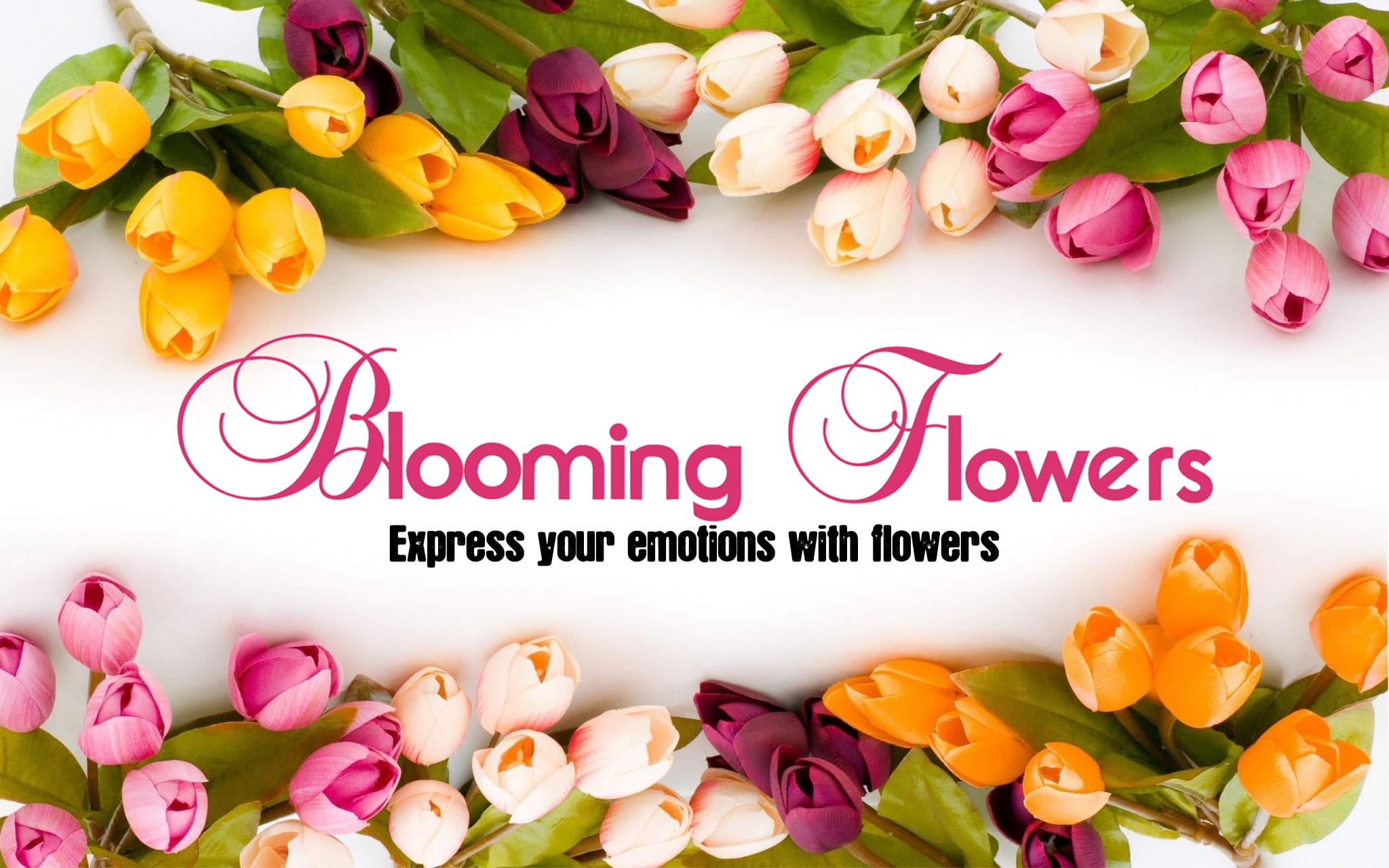 Blooming Flowers LA - Express your emotions with flowers