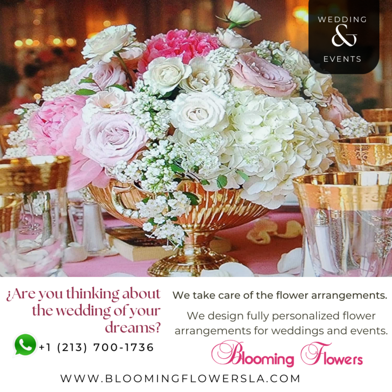 ¿Are you thinking about the wedding of your dreams?