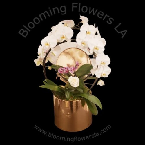 Floral Box 1 - Blooming Flowers LA